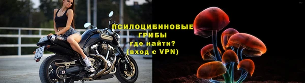 стафф Балахна