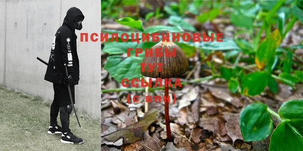 стафф Балахна